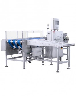 Checadora de Peso para Caixas - Foto 2